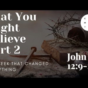 That you might believe – John 12:9-25