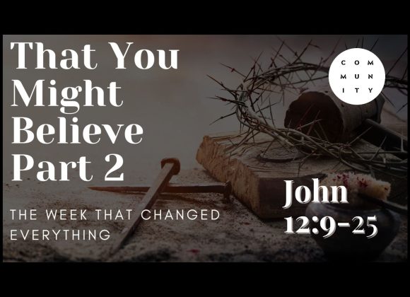 That you might believe – John 12:9-25
