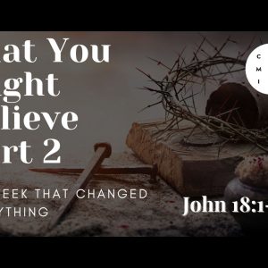 That you might believe – John 18: 1-14